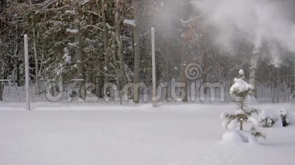 清扫街道时大量的雪粉压在雪上视频的预览图