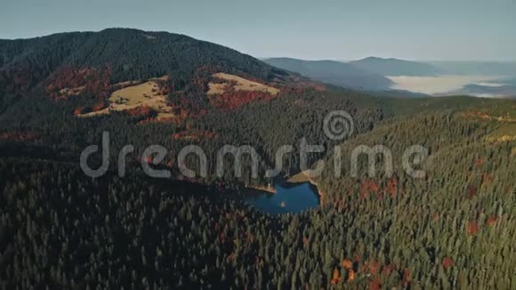 平静的山湖映着早晨的绿松视频的预览图