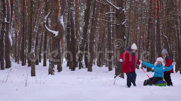 孩子们在松树公园的雪道上把妈妈卷在雪碟上笑了起来一家人在针叶林玩耍视频的预览图