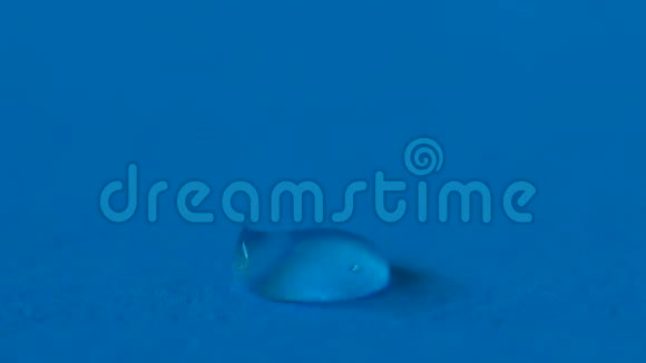 蓝色背景上的胶水滴视频的预览图