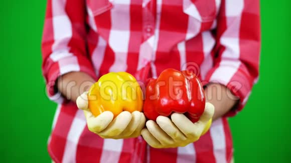 特写镜头女农民双手戴着手套手里拿着两个刚摘下来的黄红色甜椒在彩色绿色视频的预览图