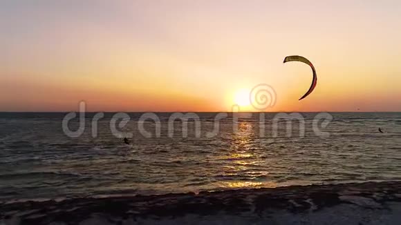 空中射击小猫骑在海浪上表演技巧视频的预览图