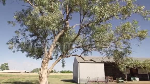 树木和房子与火车射击视频的预览图