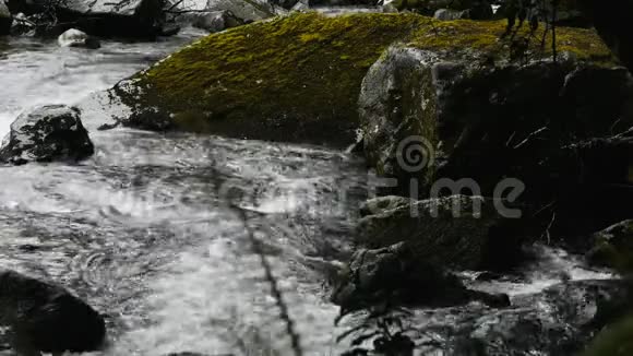 摩西山河视频的预览图