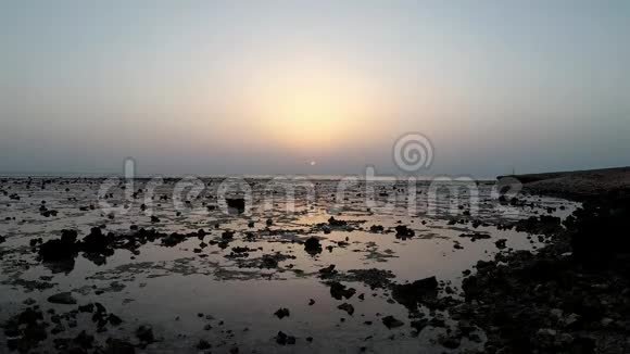 早鲸海滨低潮时沿海珊瑚礁红海视频的预览图