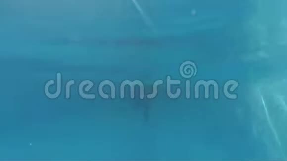 快乐男孩在游泳池里潜水看镜头水下拍摄太阳射线视频的预览图