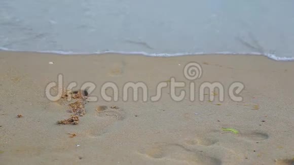 近距离的上景足迹人类的脚在沙质海岸与海浪视频的预览图