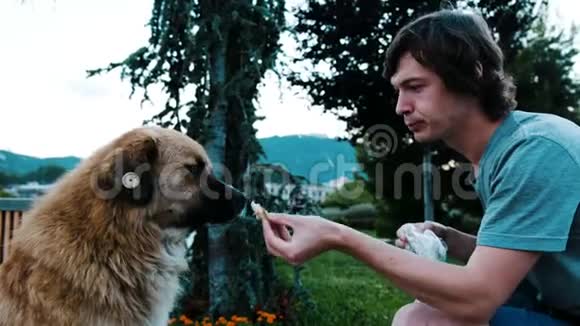 人类和一只流浪狗和一块面包分享一顿饭有人在公园里抚摸一只被咬过的好狗视频的预览图