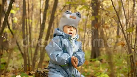 一个小男孩坐在秋天森林里的一个树桩上视频的预览图