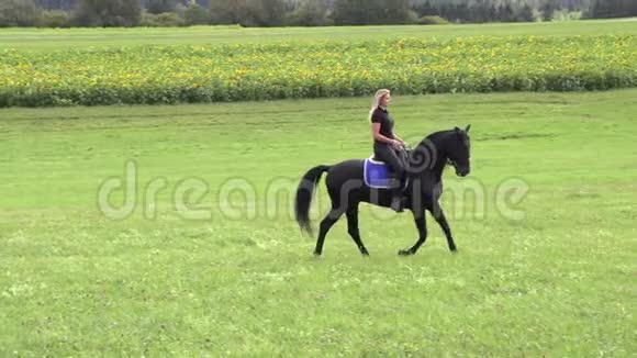 美丽的金发女郎骑着黑色的马骑在花田上视频的预览图