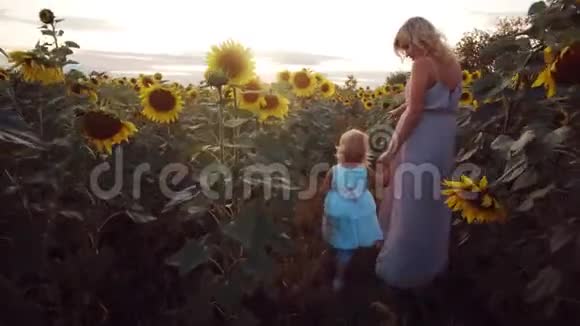 向日葵领域的年轻家庭母亲牵着女儿的手她们走在向日葵之间视频的预览图