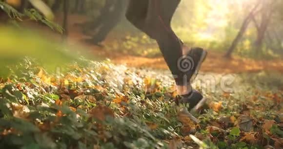 秋天公园里的女跑步者穿着慢跑服女人腿的特写镜头穿着落叶的短裤视频的预览图