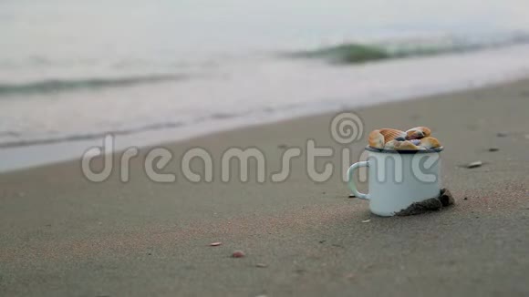 近景金属白色杯子里面装满了贝壳站在沙质海岸上靠近景模糊的雄性腿沿海岸奔跑视频的预览图