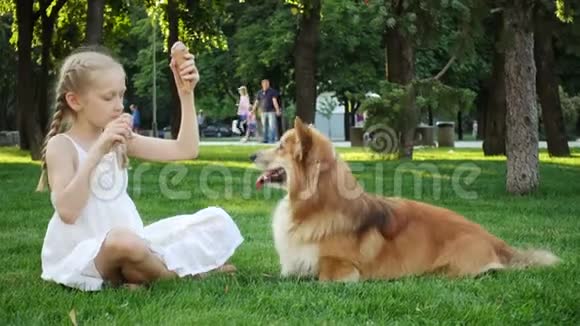 女孩和她的小毛狗在公园的草地上吃冰淇淋视频的预览图