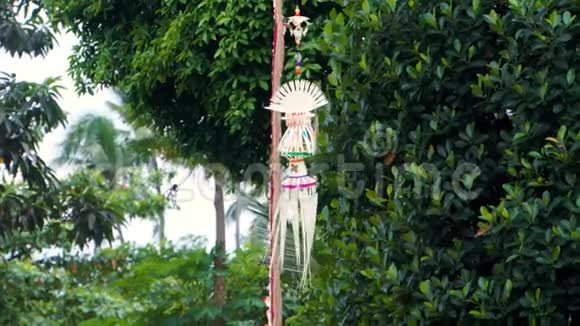 巴厘印度教的一种传统的草色装饰在风中摇曳背景是棕榈树视频的预览图