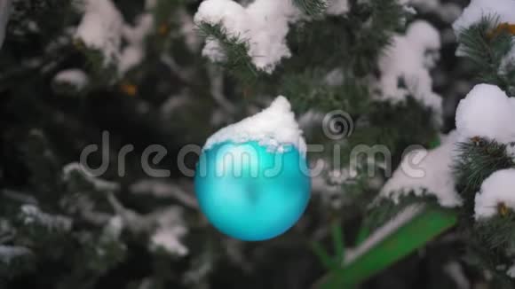 近景白雪覆盖的蓝球装饰了公园里的圣诞树视频的预览图