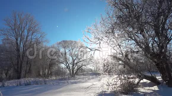 在阳光明媚的日子雪照在天空视频的预览图