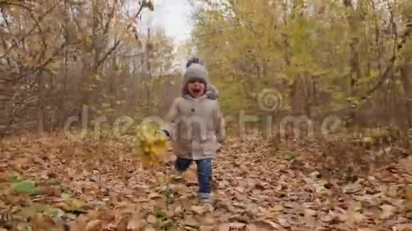 活泼开朗的小男孩沿着秋天公园的小巷奔跑视频的预览图