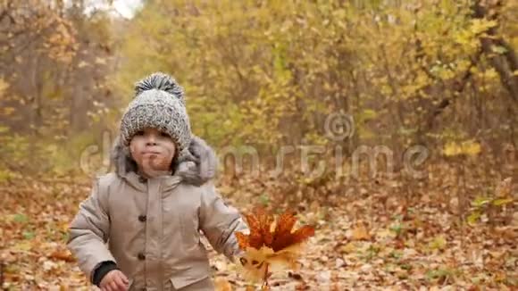 可爱的小男孩在秋天公园的小巷里奔跑视频的预览图