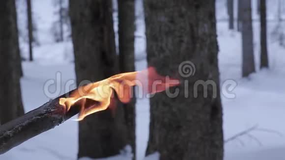 冬季木材中的火把视频的预览图