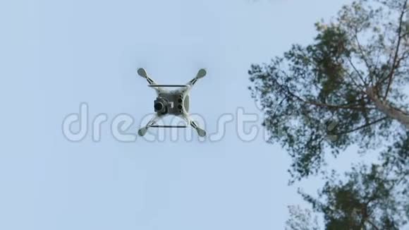四架直升机在树林里飞行视频的预览图