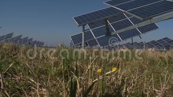 太阳集热器太阳能电池板和野外植物在风中移动视频的预览图