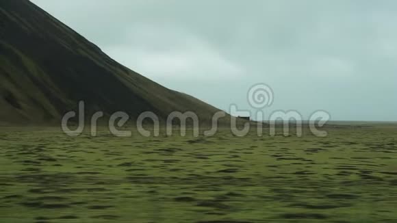 冰岛公路旅行的绿色路边景观视频的预览图