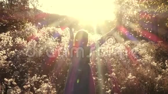 女孩在秋天的田野里穿过绒毛的花朵视频的预览图