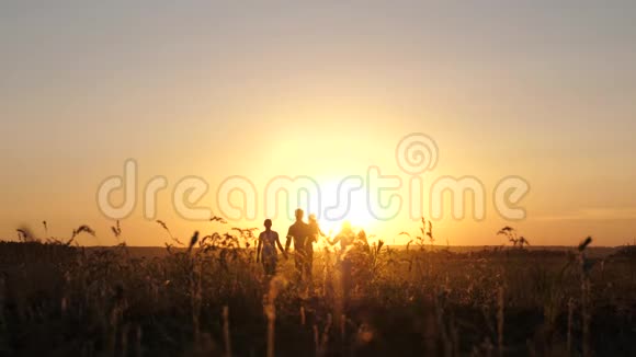 幸福的家庭在夕阳下漫步在田野里爸爸妈妈和女儿在阳光下在公园里散步儿童和视频的预览图