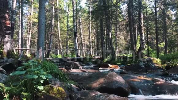 群山中的苔藓溪流视频的预览图