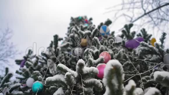 底部景观公园里白雪覆盖的圣诞树上的装饰视频的预览图