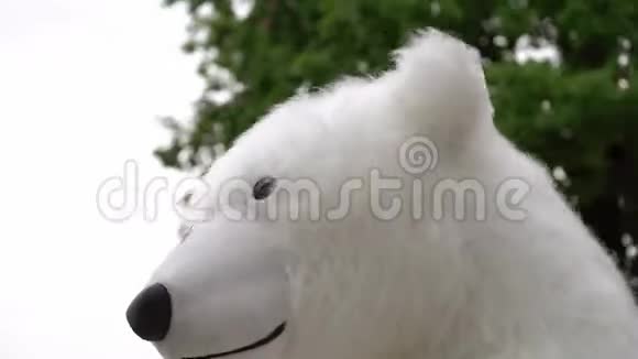 穿着白熊服装的人北极熊木偶视频的预览图