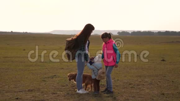 家人和狗一起穿越平原和山脉母亲女儿和家庭宠物游客团队合作视频的预览图