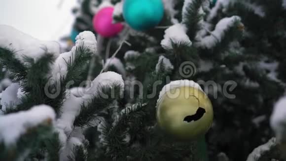 白雪覆盖的圣诞树上的特写玩具视频的预览图