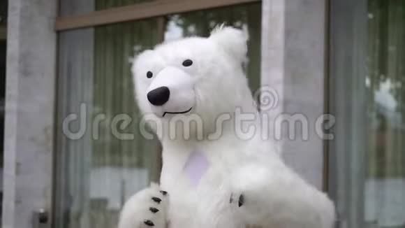 穿着白熊服装的人北极熊木偶视频的预览图