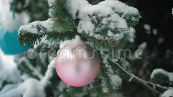 城市公园的一棵度假树上挂着一个雪覆盖的粉红色小球视频的预览图