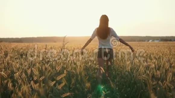 可爱的女孩独自站在田野里视频的预览图
