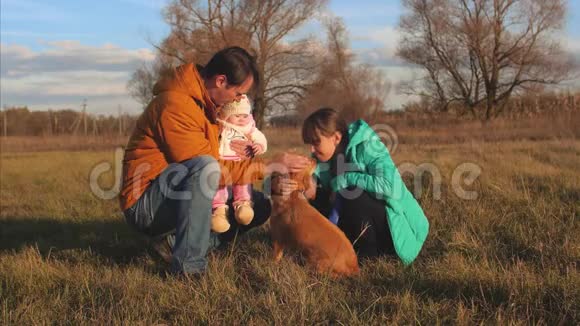 快乐的爸爸女儿和小宠物狗视频的预览图