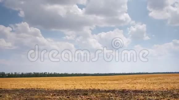 车侧窗景驾车环绕一个平坦的景观乡村农业视频的预览图