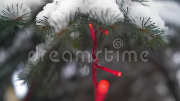 公园里一棵覆盖着白雪的圣诞树的树枝上面挂着燃烧的花环视频的预览图