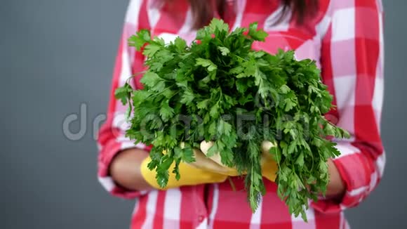 特写镜头农夫双手戴着手套手里拿着一束绿色植物新鲜的绿色欧芹灰色背景在工作室里健康视频的预览图