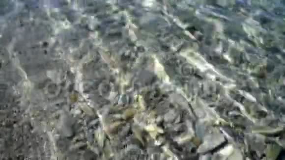 海洋上的人手里拿着一颗鹅卵石视频的预览图