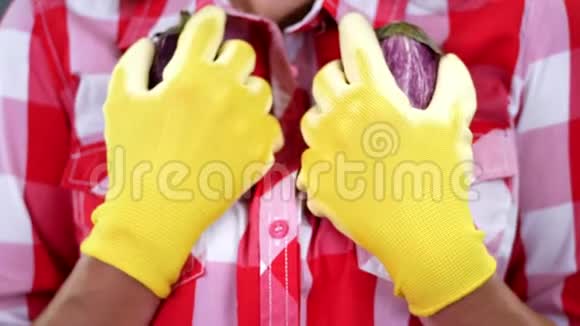 特写女农民双手戴着手套手里拿着两只刚摘下来的茄子在格子衬衫背景上在演播室里视频的预览图