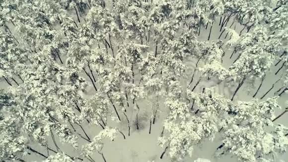 沿冬林航天观景视频的预览图