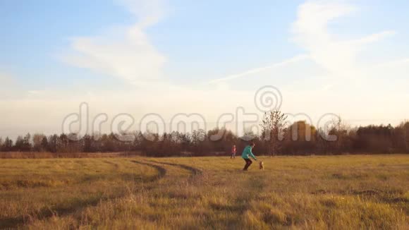 孩子们在蓝天下的秋田里跑来跑去和狗玩耍视频的预览图