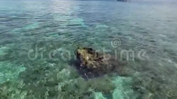 珊瑚礁顶部的岩石视频的预览图