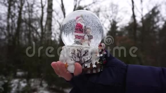 奥地利传统节日雪球视频的预览图