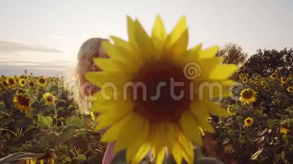 家庭在大自然中休息一个抱着女儿的年轻女人躲在一朵向日葵后面一个美丽的视频的预览图