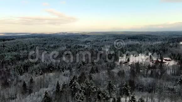 在阳光明媚的日子里冬天可以俯瞰森林动作令人难以置信的冬季森林美景视频的预览图