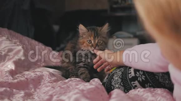 小可爱的女孩在家里和小猫在床上玩视频的预览图
